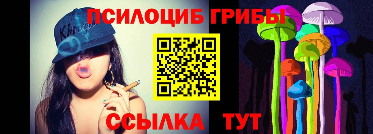 Псилоцибиновые грибы GOLDEN TEACHER Краснознаменск