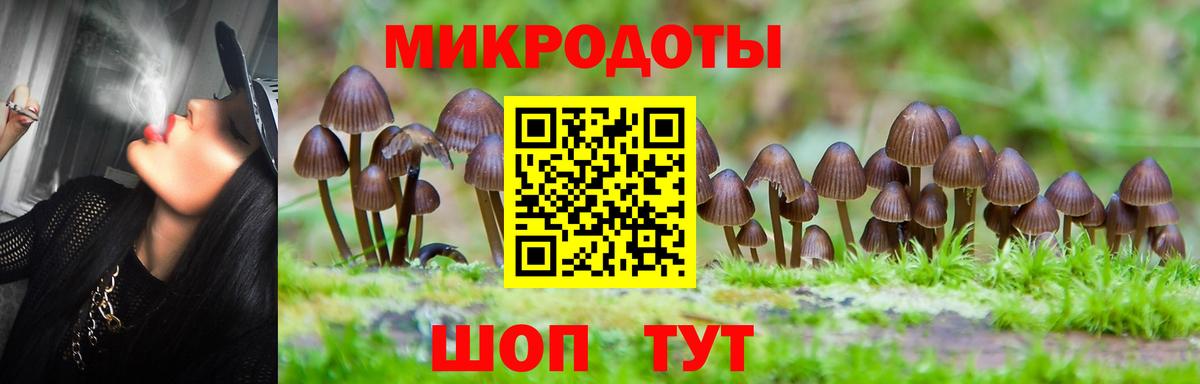 Галлюциногенные грибы MAGIC MUSHROOMS  Вход с VPN  Краснознаменск  сколько стоит  Галлюциногенные грибы ЛСД 