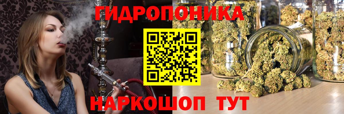 Шишки марихуана планчик Краснознаменск